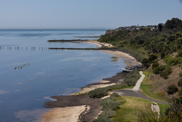 The shoreline at Clifton Springs. 