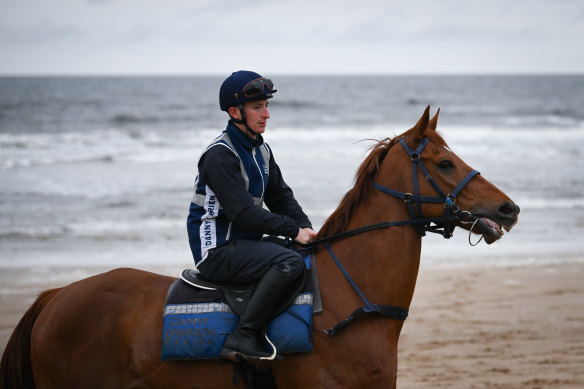 Vow And Declare and Kieran Roche at 13th Beach. 