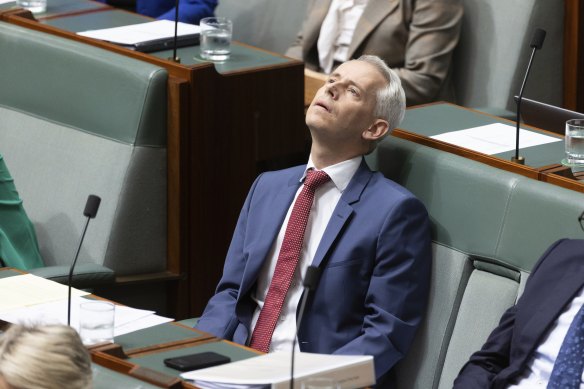 The immigration minister during question time.