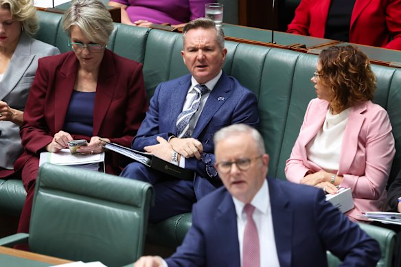 Prime Minister Anthony Albanese and Energy Minister Chris Bowen in parliament on Thursday.