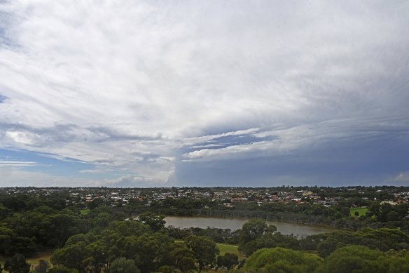 Manning Park has become the latest example of a contested urban bushland site in a city increasingly cleared of native vegetation. 