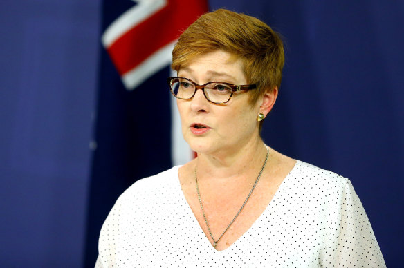 Defence Minister Marise Payne Minister Marise Payne has made choices that are deliberate and informed.