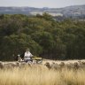 Coalition farm policy quietly grows climate plan alternative