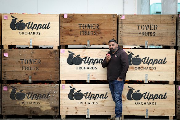 Shepparton Orchard farm owner Sonny Uppal.