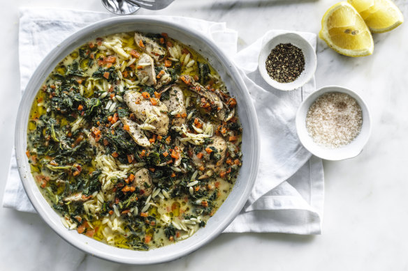The chicken of a dream of Alvarez, spinach and orio Stew.