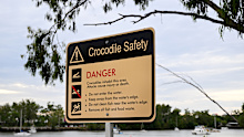 A crocodile warning sign on the banks of the Fitzroy River in Rockhampton.
