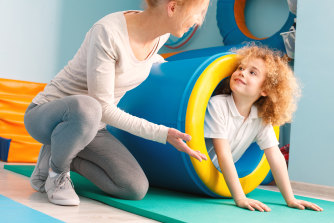 Paediatric occupational therapists provide a range of services from physical therapy to behaviour management.