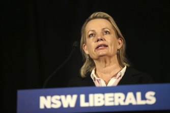 Deputy federal leader and shadow minister for women Sussan Ley.
