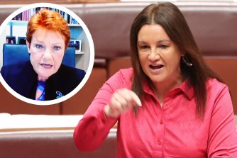 Jacqui Lambie is not holding back when it comes to calling out One Nation and its leader (inset) Pauline Hanson.