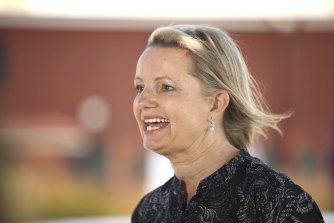Environment Minister Sussan Ley said the Antarctic needs to be protected from exploitation.