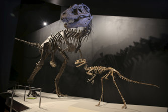 Back from Scotland: dinosaurs in the limelight in the opening exhibition.