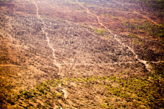 Paths of cleared vegetation for seismic testing to find oil and gas in the Kimberley. 