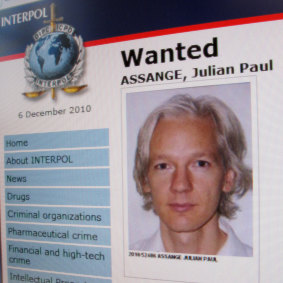 A detail from the Interpol website showing the notice for the arrest of Julian Assange on December 6, 2010.