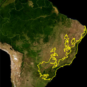The yellow line encloses the Atlantic Forest  — in Brazil, Argentina, and Uruguay — as delineated by the WWF. The Amazon rainforest is top left.