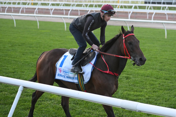 James McDonald takes Romantic Warrior for a gallop at Flemington last week.