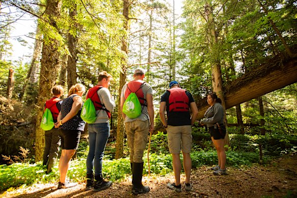 Guests and guide in the Great Bear Rainforest.