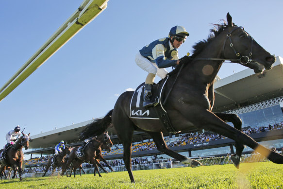 Glen Boss cruises to the post on Sir Dragonet in a dominant Tancred victory.