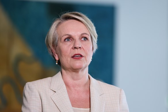 Minister for Social Services Tanya Plibersek. 