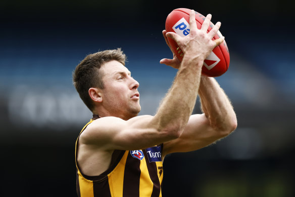 After a short-lived retirement, former Hawthorn forward Liam Shiels could be a valuable swingman at his new club, North Melbourne. 