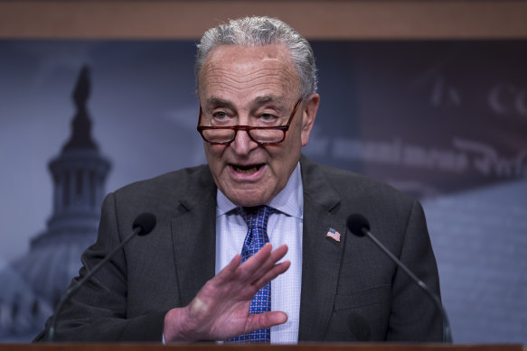 Senate Democratic Leader Chuck Schumer is a key voice in the party.