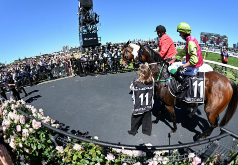 Melbourne Cup winner Knight’s Choice soaks up the adulation at Flemington.