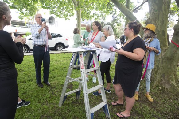 Concerned local citizens want to protect the trees from the freeway upgrade. 