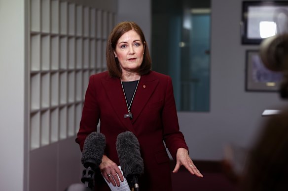 Opposition communications spokeswoman Sarah Henderson.