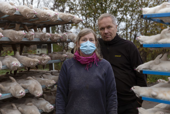 Danish farmers Holger and Riuth Rønnow stand next to their culled mink, in late 2020. The mink were culled due to concerns over the spread of COVID-19.