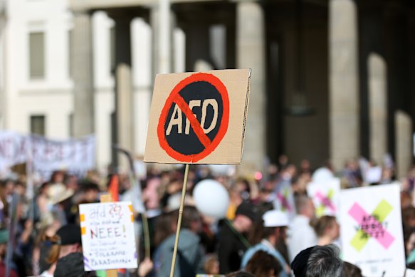 Germans rally in Berlin calling for the far-right Alternative for Germany (AfD) to be banned. 