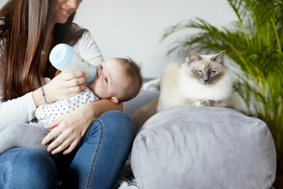 Baby formula manufacturers have been caught out breaching the industry code by marketing products to mothers.