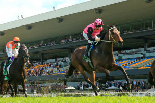 Costello romps home in the Rosehill Gold  Cup in October over the course and distance of the Lord Mayors Cup.
