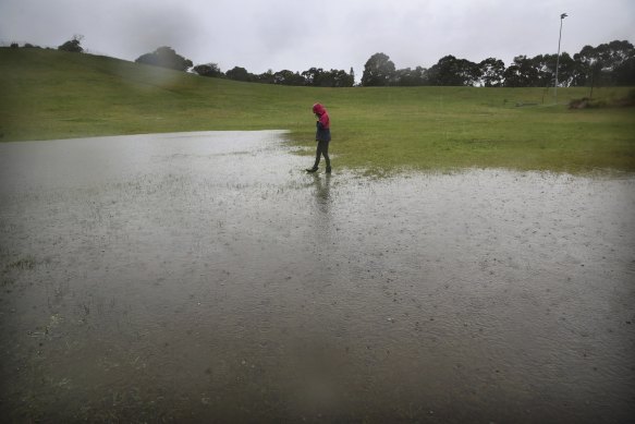 Rain soaks already sodden grass forming deep puddles in a park at Pagewood.