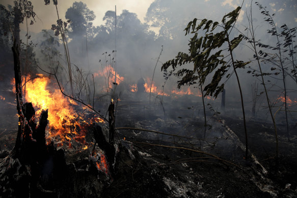 A fire burns trees and brush along the road to Jacunda National Forest in Brazil.