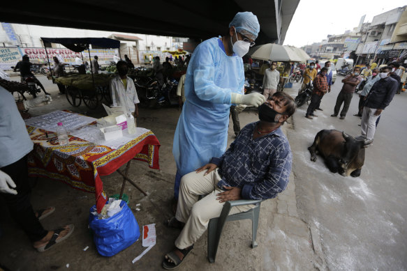 A health worker takes a nasal swab sample to test for COVID-19 in Ahmedabad, India, where cases are  growing faster than anywhere else in the world. 