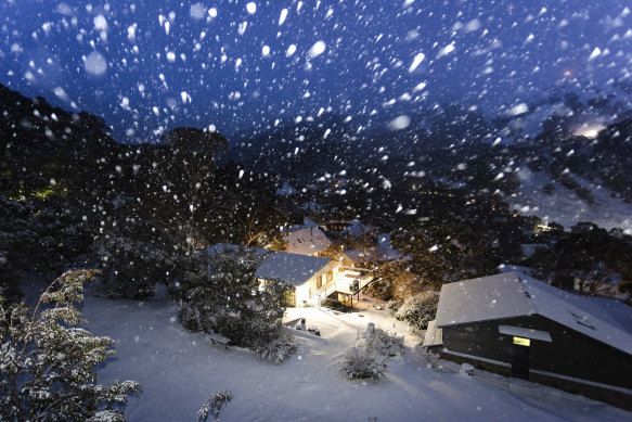 Snow falling in Thredbo on Saturday night.