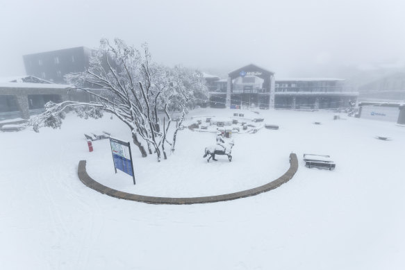 Mount Buller has received plenty of snow while Victoria was in lockdown. 