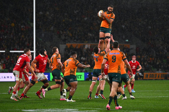 Wallabies secure lineout in Melbourne