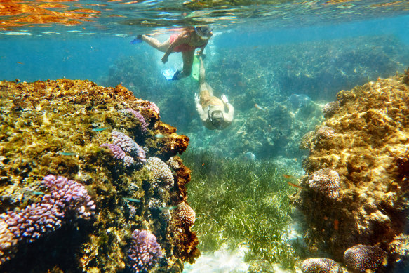 Couple snorkelling near Rottnest Island.
