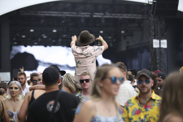 The Minns government is facing pressure from within its caucus to introduce pill testing ahead of the summer music festival season.