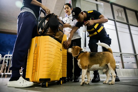Members of the Philippine National Police Aviation Security Group at the airport with a bomb-sniffing dog.