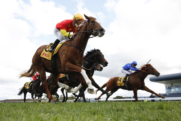 Tim Clark and In The Congo (left) combine to win the San Domenico Stakes at Kembla Grange on Saturday.