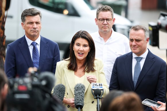 Liberal Senator Jane Hume at a press conference earlier this month.