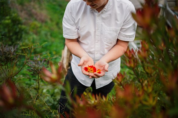 Max Gordy, head chef of Wellington’s Graze Wine Bar, forages for ingredients in suburban Kelburn.