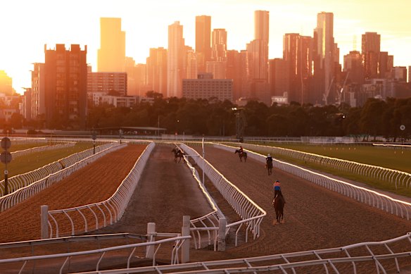 Flemington Racecourse sits on more than 100 hectares, but is largely inaccessible to the public. 