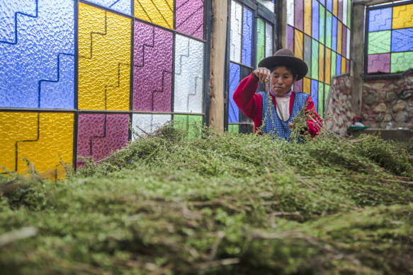 Learn about traditional farming techniques… Sacred Valley in Peru.