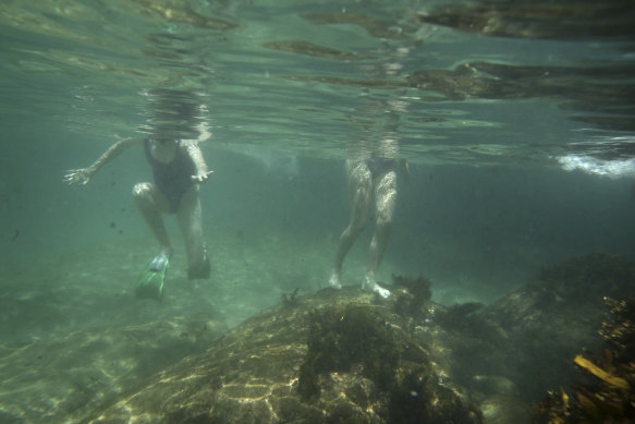 Bathers take refuge from the heat at Maroubra Beach.