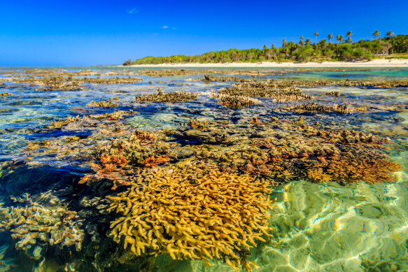 The Coral Coast on Viti Levu.