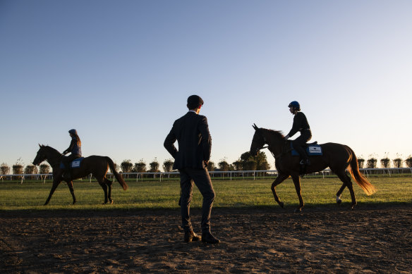 Trainer James Cummings at Godolphin’s stables at Osborne Park.