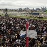 Owners rapt to be allowed back in mounting yard from Saturday
