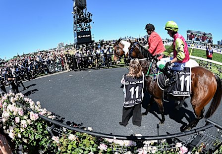 Melbourne Cup winner Knight’s Choice soaks in the adulation at Flemington.